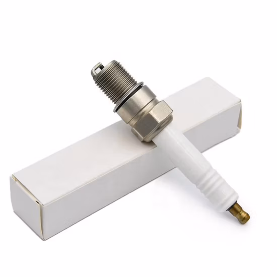 Spark Plug Replace for Champion DJ8j DJ7j 847 850, for Ngk Bm6f, 794-00050, 794-00055A, for Bosch HS8e, Wak145t3, for Denso T20m-U, for Mega-Fire Se-J8d, for AC